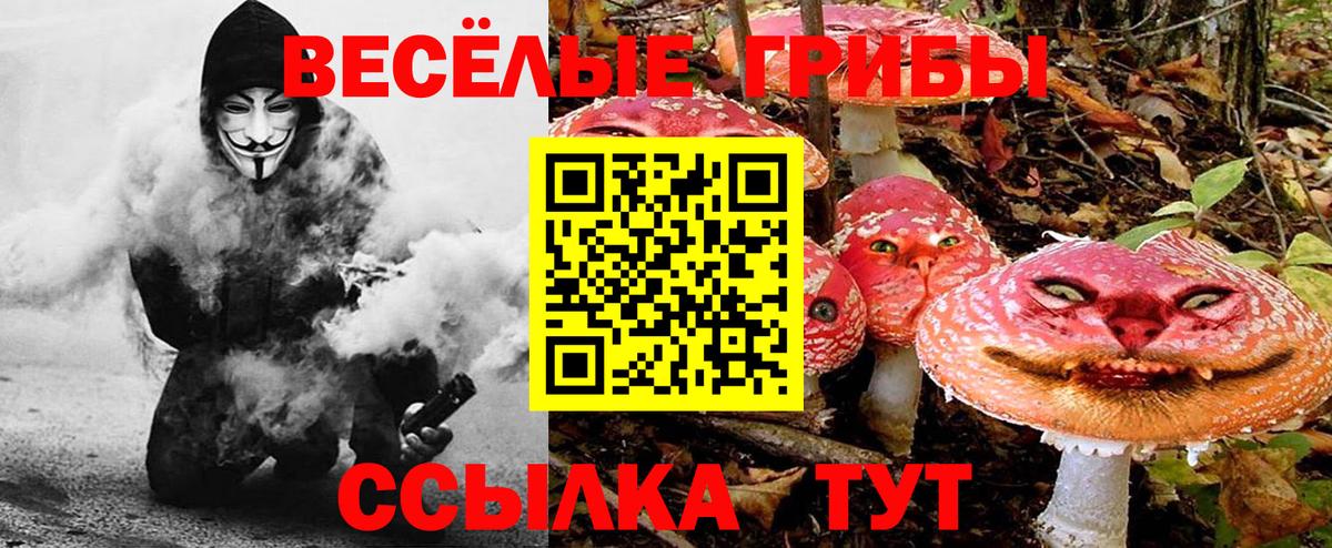 Галлюциногенные грибы Psilocybine cubensis  Галлюциногенные грибы ЛСД  Ирбит  Вход с VPN 